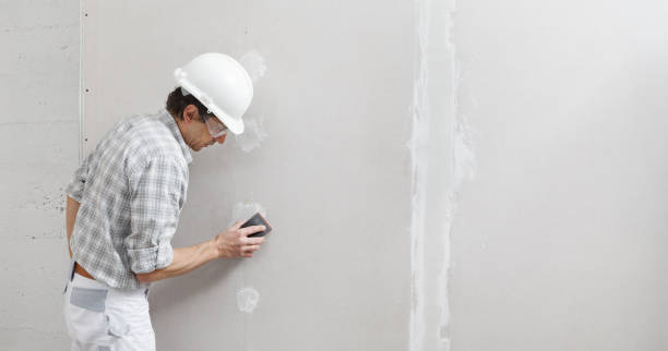 Best Water-Damaged Drywall Repair  in Lewiston, UT