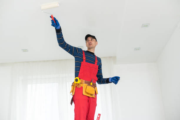 Best Drywall Removal and Disposal  in Lewiston, UT