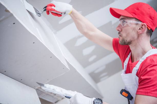 Best Fire-Damaged Drywall Repair  in Lewiston, UT